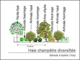  - Kit de haie : Haie champêtre diversifiée - 36 plants - Kit haie bocagère