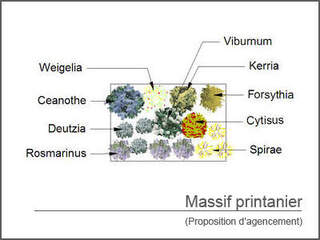 26 massif-printanier