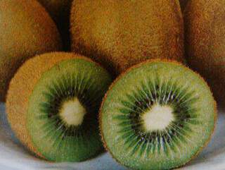 Kiwi femelle - ACTINIDIA femelle Hayward - Arbre fruitier