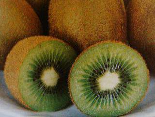 Actinidia deliciosa - KIWI femelle 'Hayward' - Arbre fruitier