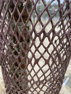 Maille cervitube open