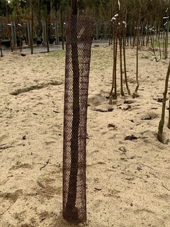  - Manchon de protection 'Cervitube open' - Lutte biologique et protection