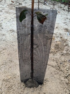  - Manchon de protection 'Climatic bio' - Lutte biologique et protection