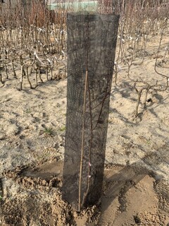  - Manchon de protection 'Climatic simple' - Lutte biologique et protection