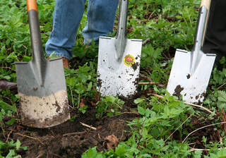 Préparer votre sol avant une plantation