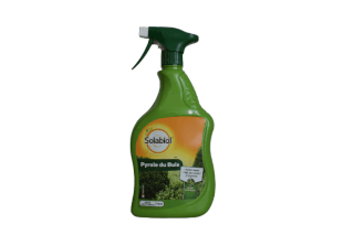  - Pyrale du buis - Solabiol - Lutte biologique et protection