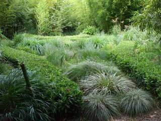 tapis-de-carex