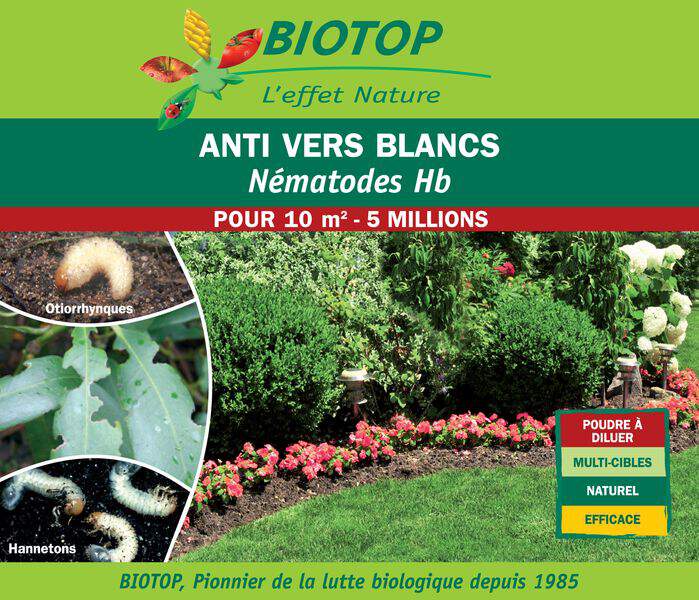  - - BIOTOP Vers Blancs (hannetons, otiorrhynques) - Lutte biologique et protection