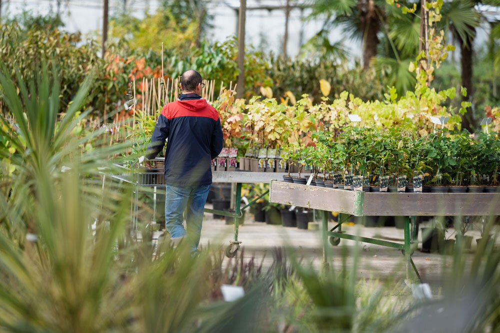 visite-serre-exposition-pepinieres-huchet-large-choix-de-plantes-jardin